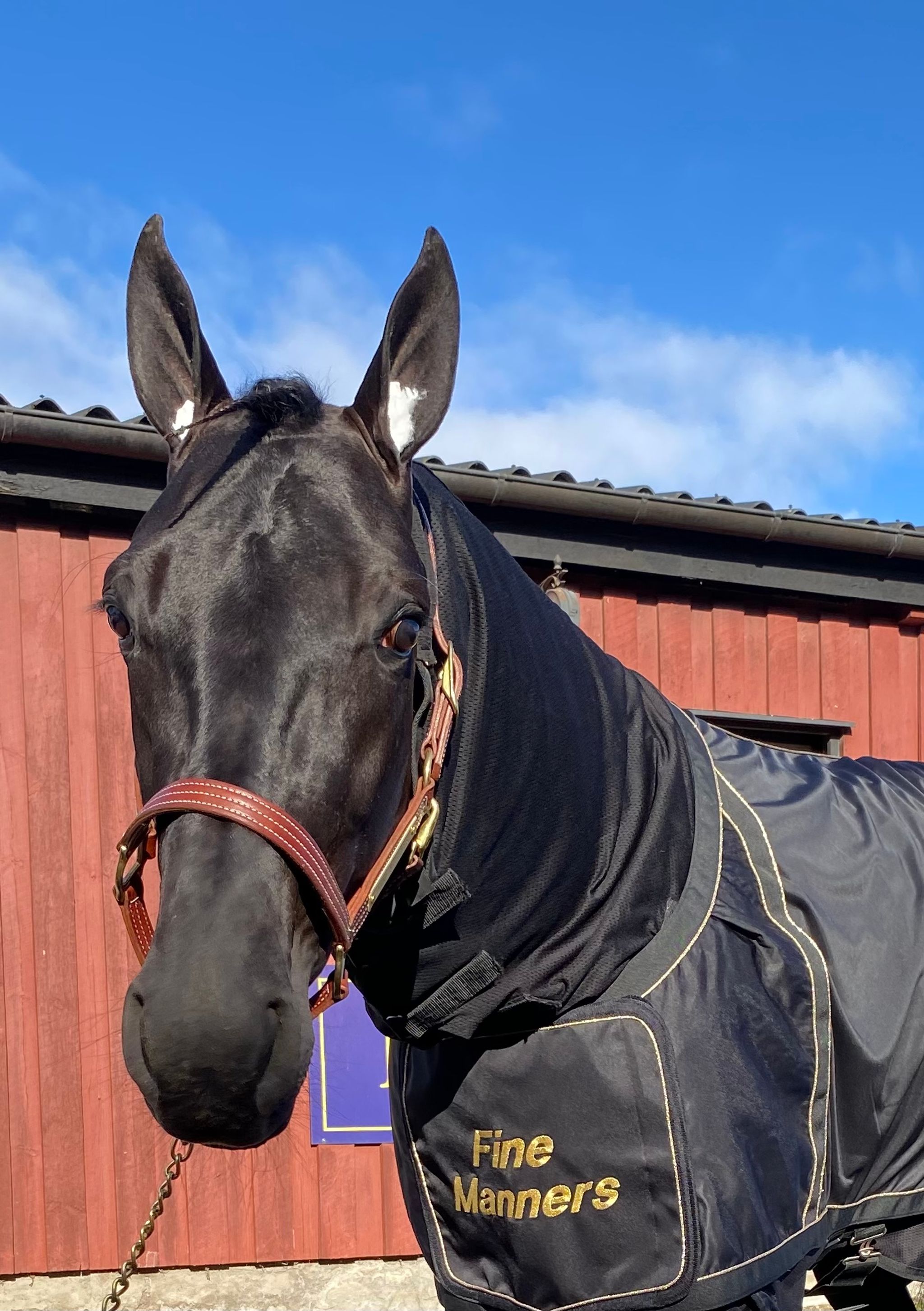 B10C5202-93BB-41C8-96F6-64F1CD0FEE8E