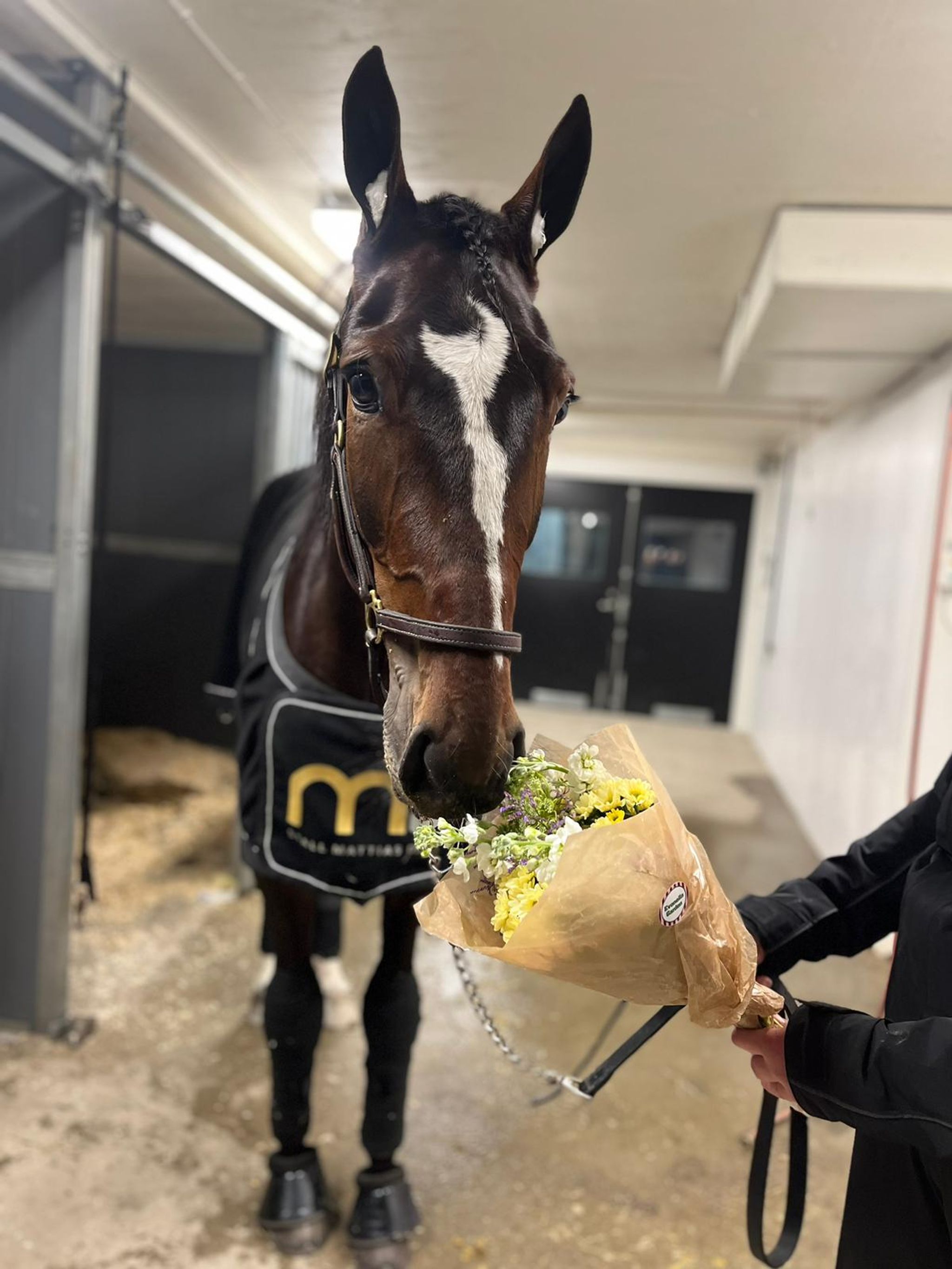 601E2CCE-E29E-443A-80D3-5BF62D808C1F