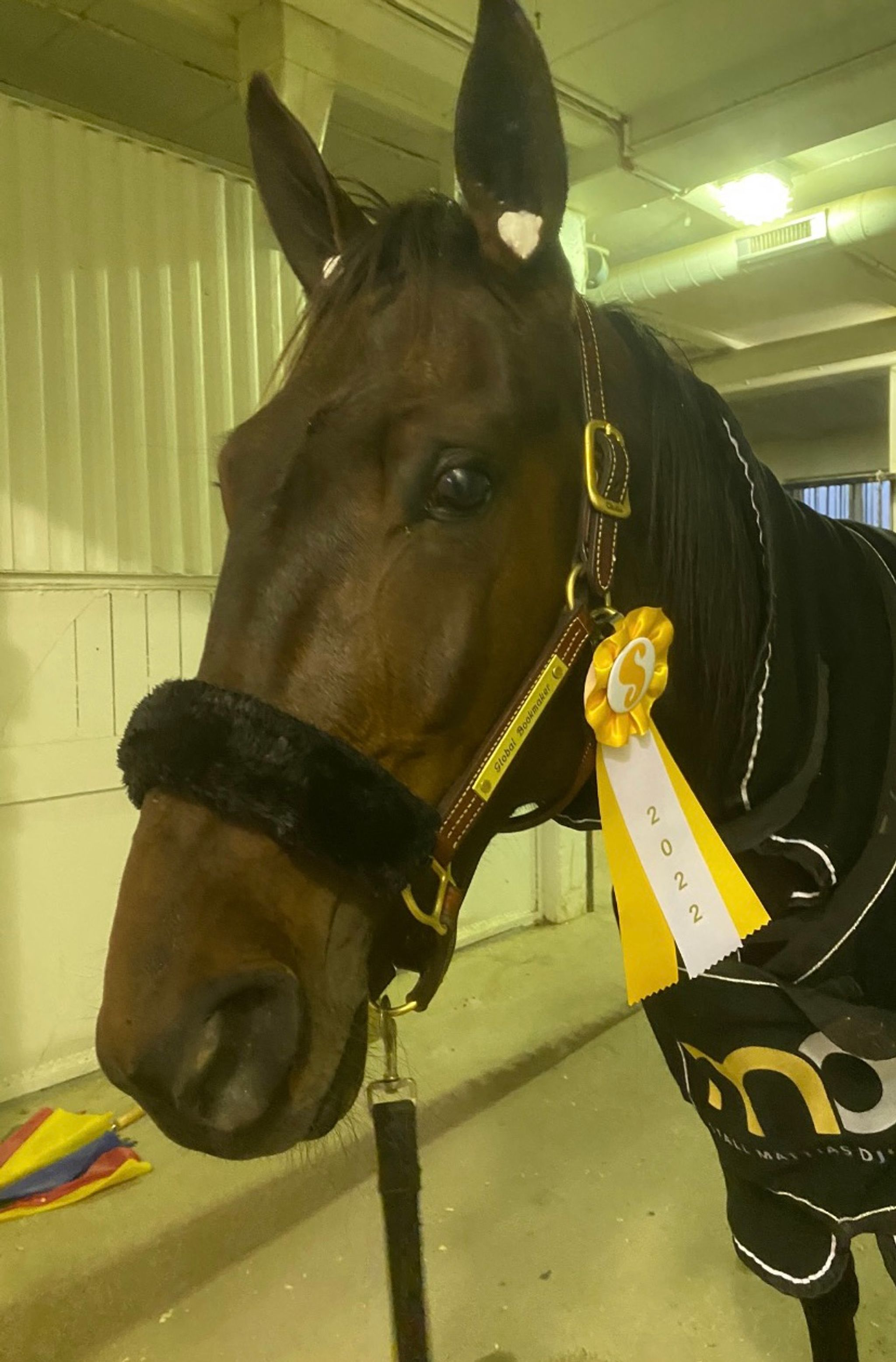 72ACBD84-0E7E-412B-9DD3-A42934E2C321