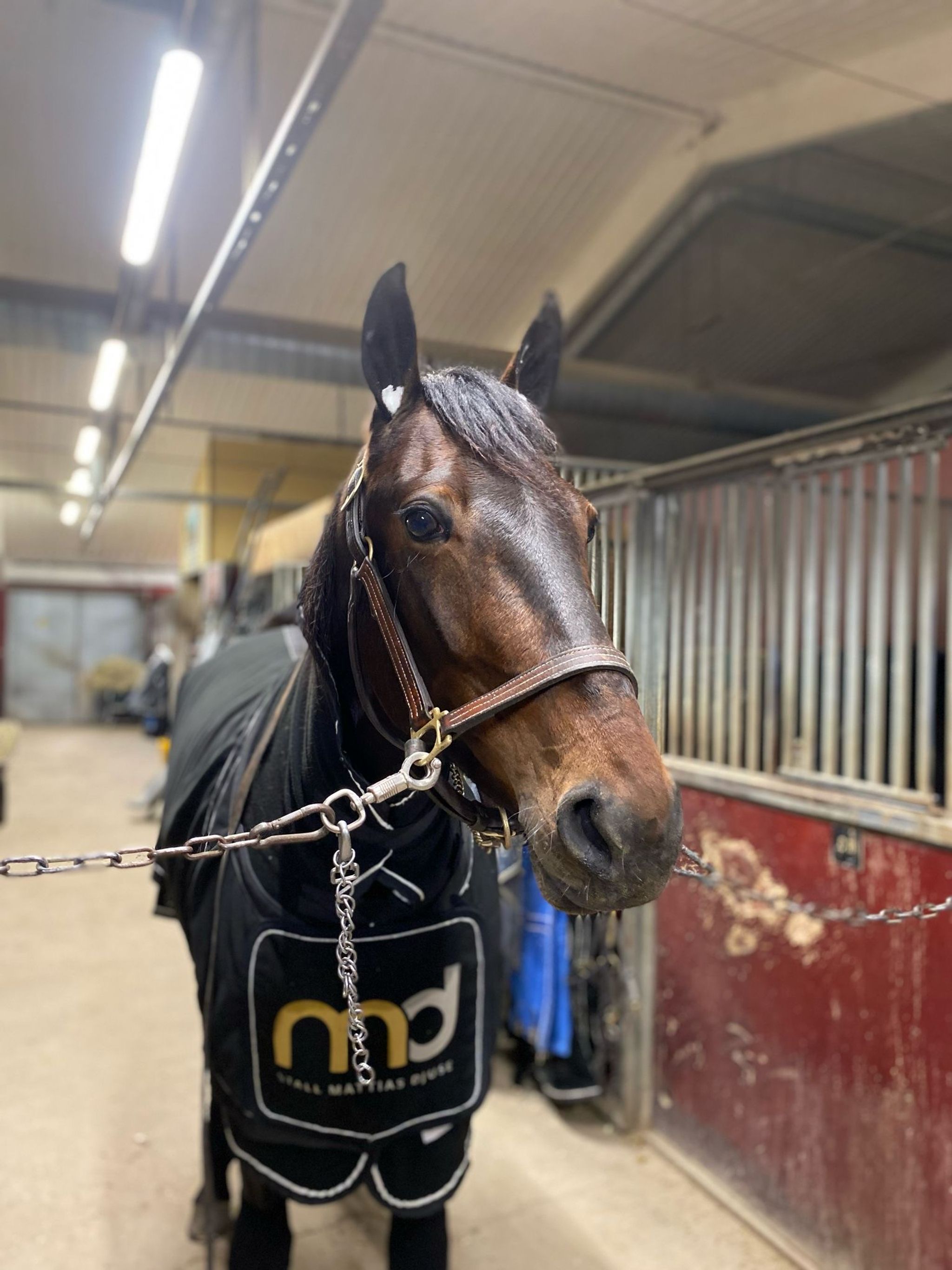 9bde2893-f256-4d53-9c0c-526d867fada7