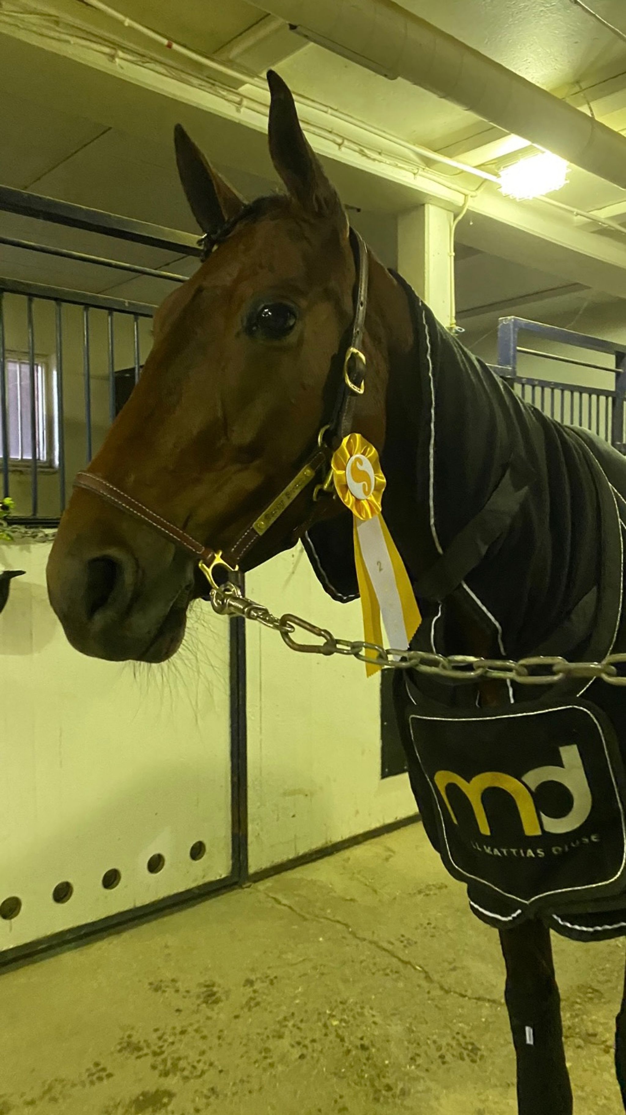 38AA234D-4B61-4C04-B69B-76EB2C3695DD