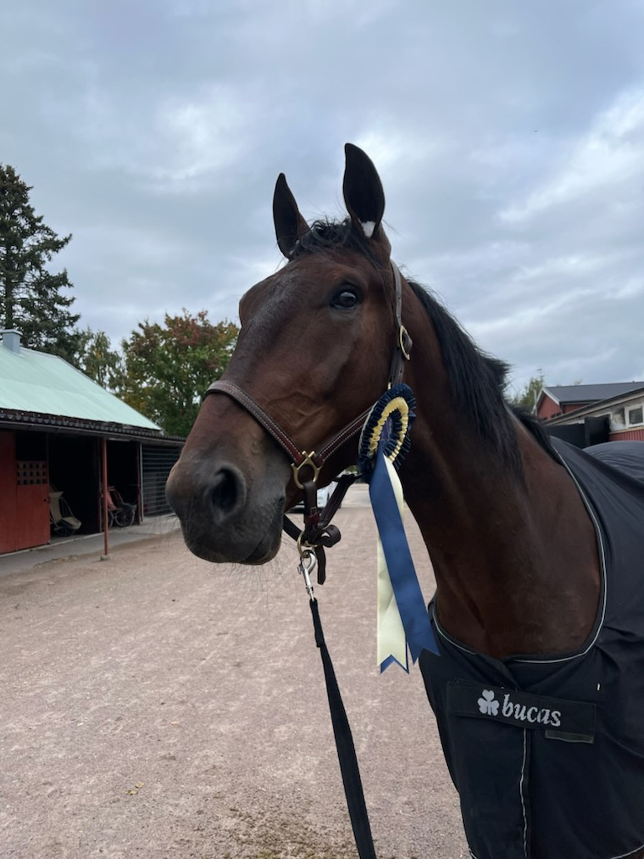 EA1AD86D-F768-483D-A55C-5B456FD4E085