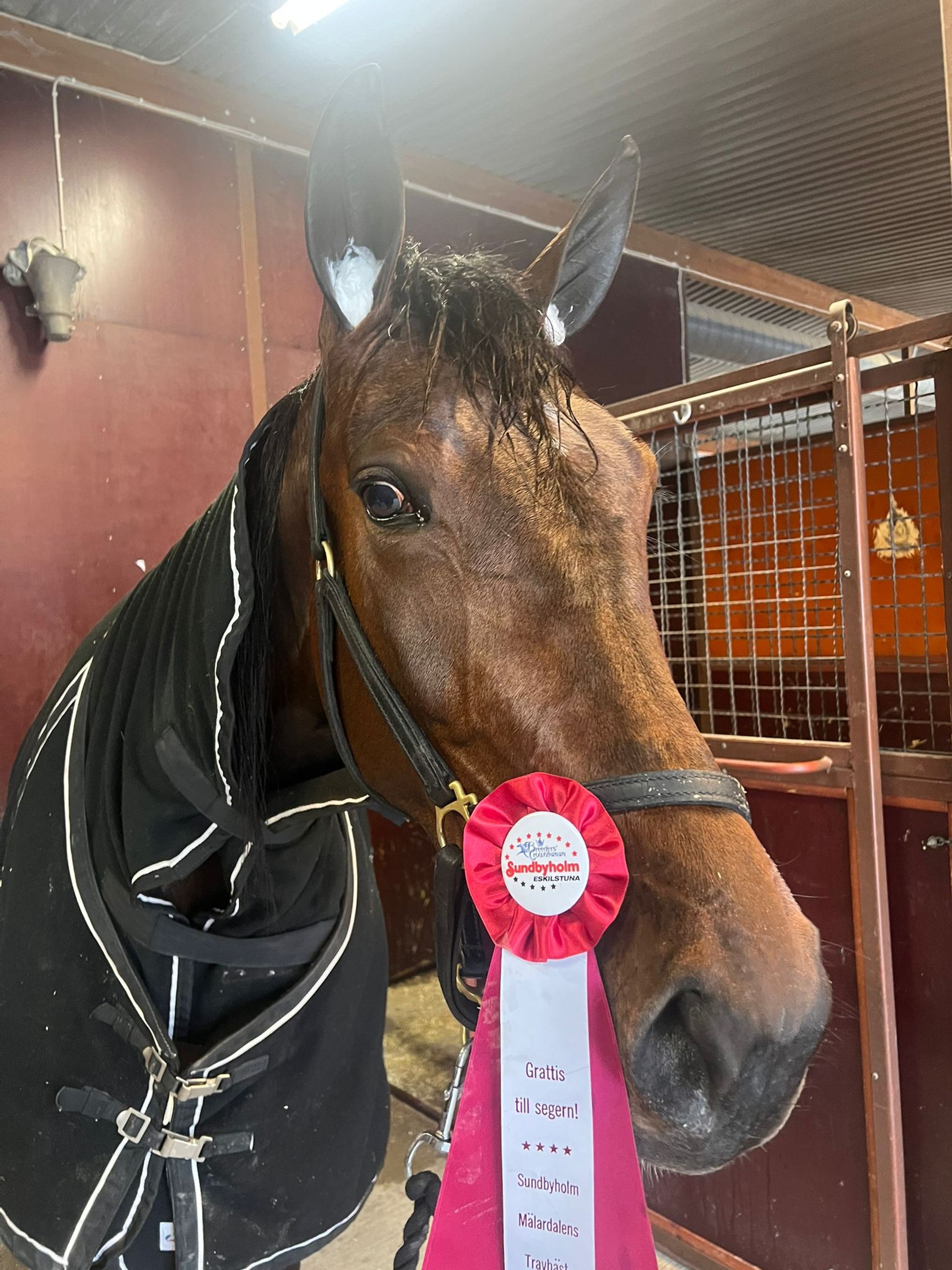 5385B047-CCC4-49D6-A2D1-2A059B6A7515