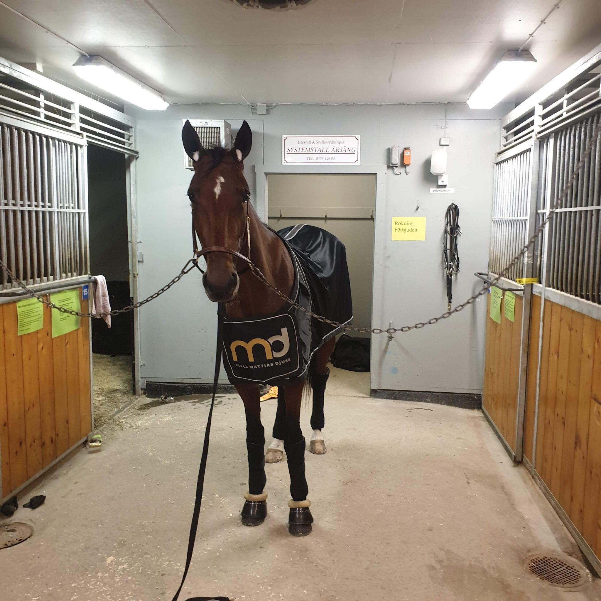 EBD0AA26-78A0-4DC9-B5B2-D4D5096B48A1