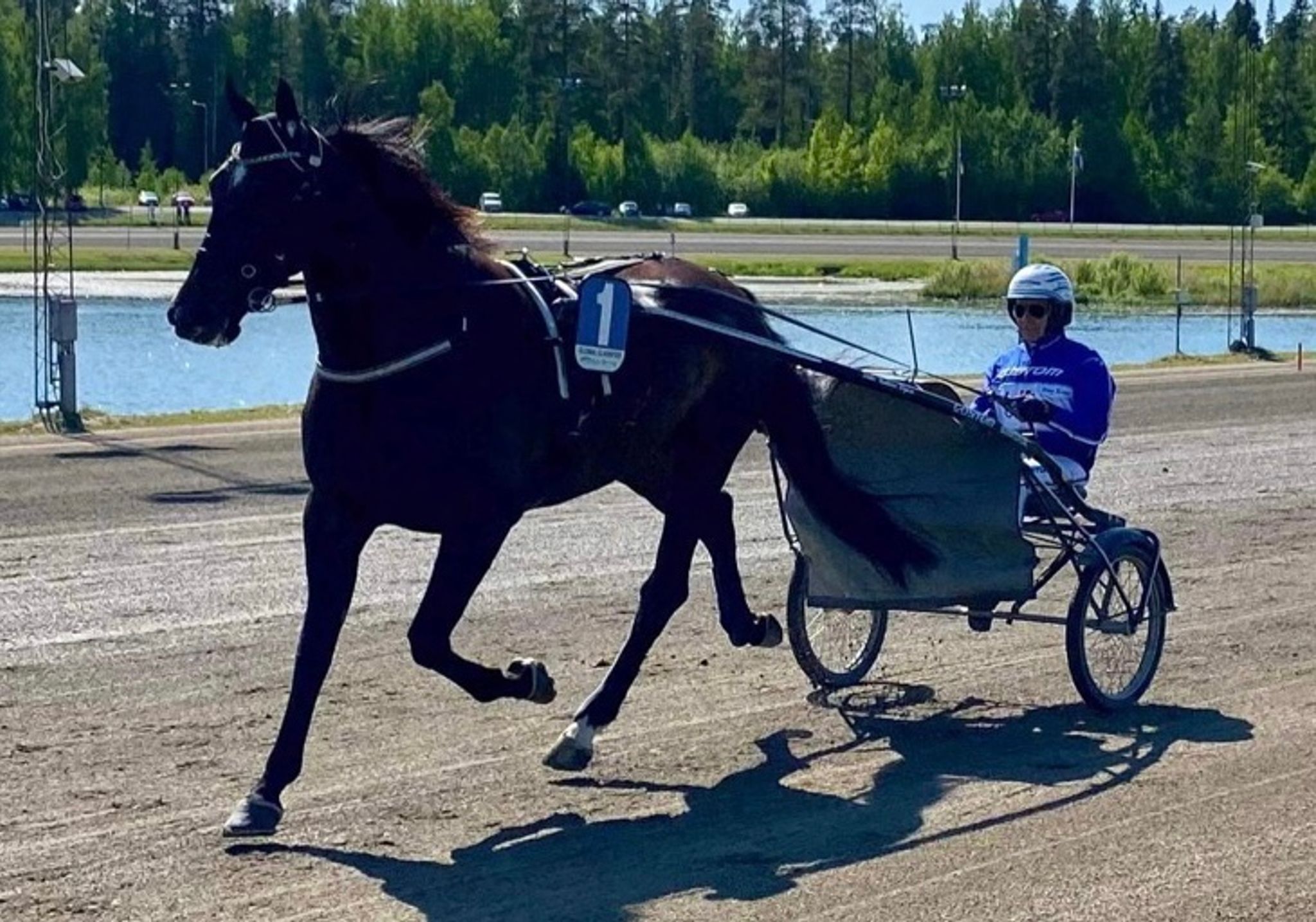 C9BAFCCA-FACB-4A21-B546-677B7BDDF71D