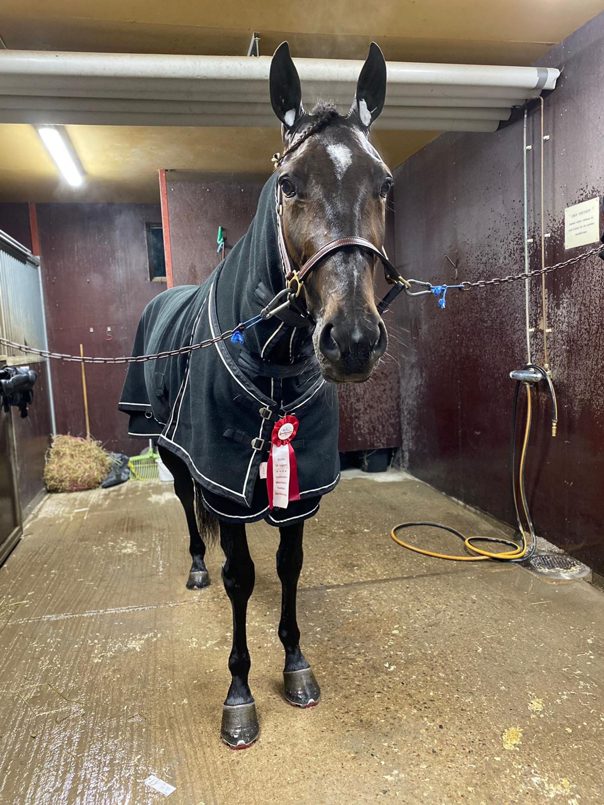 303ADDC5-4698-41DF-8F44-ABB3E265BAD6