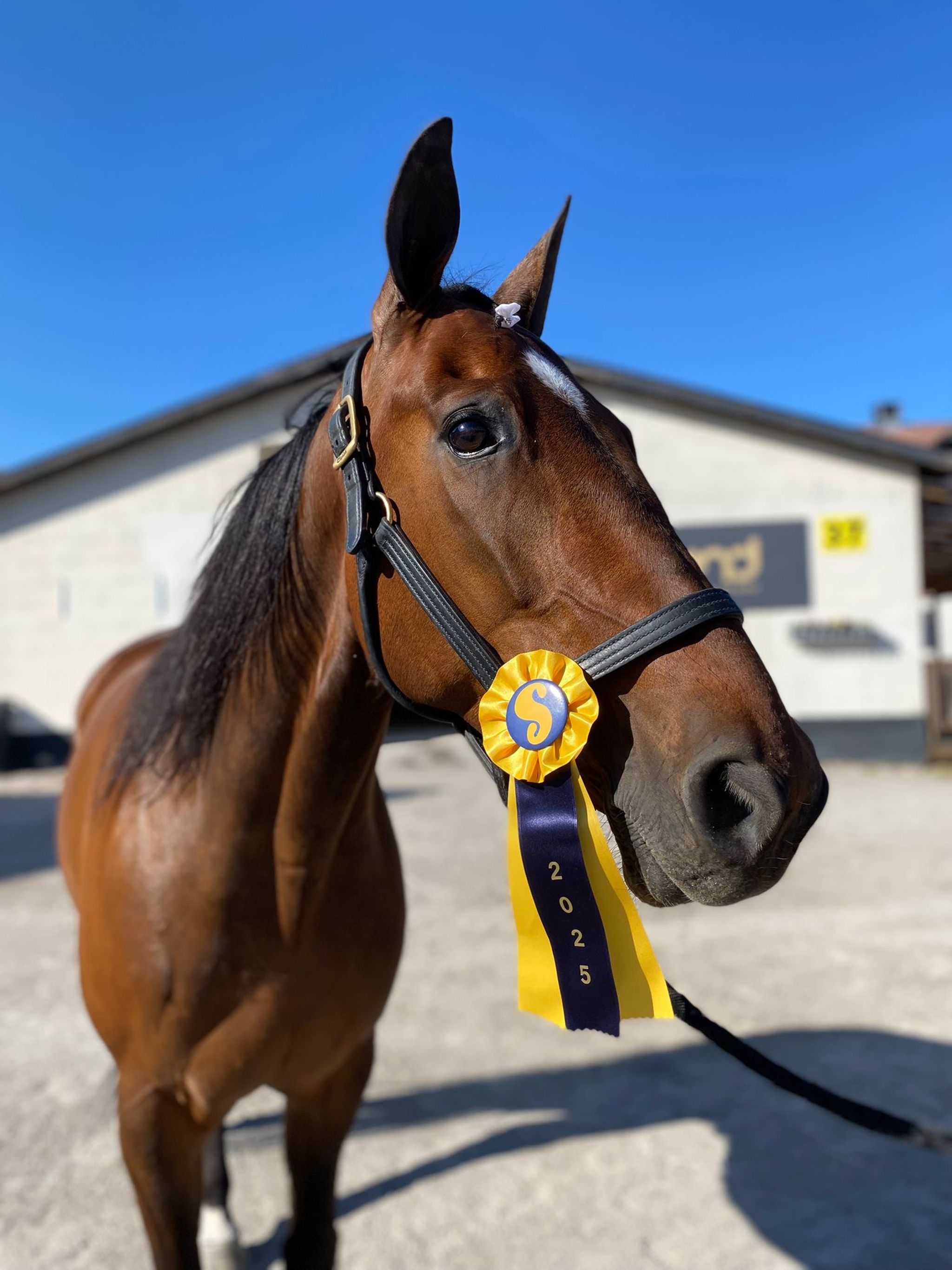 da3f3947-27df-4296-8640-116ece39f37d