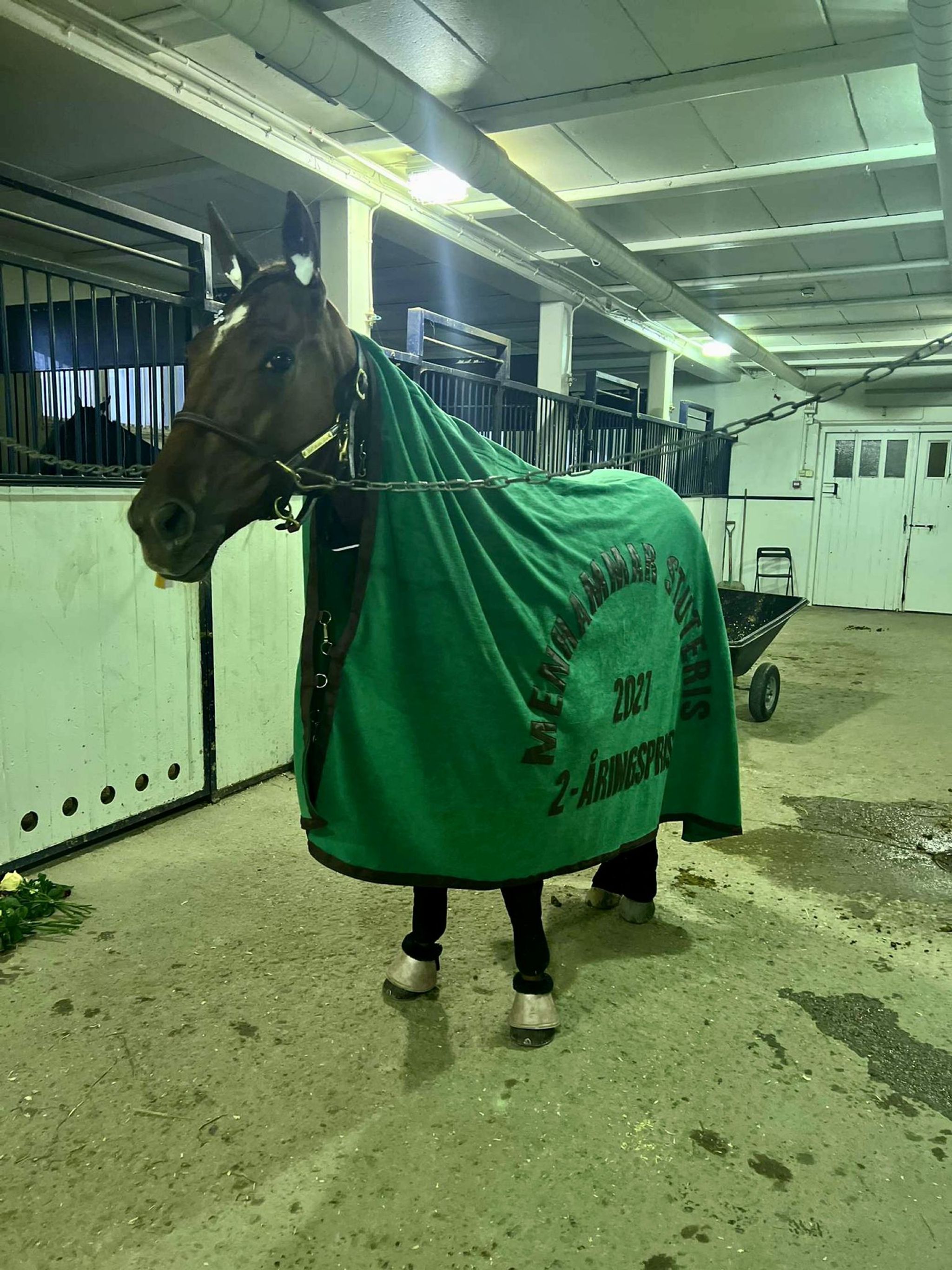 04FC03E9-3547-48C1-B416-9B107039A833