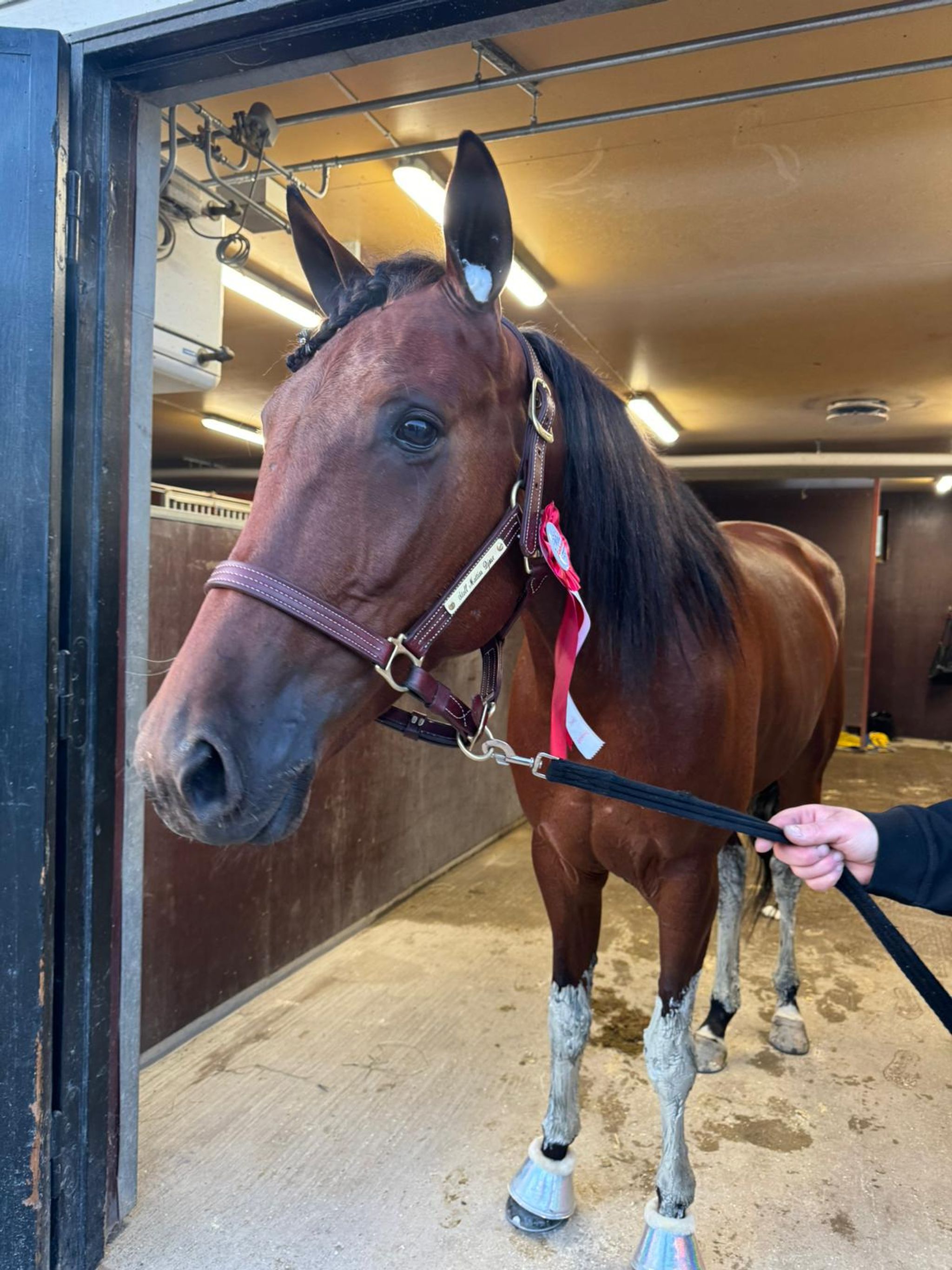 D85DF312-6180-49E7-A37A-314C043B9756