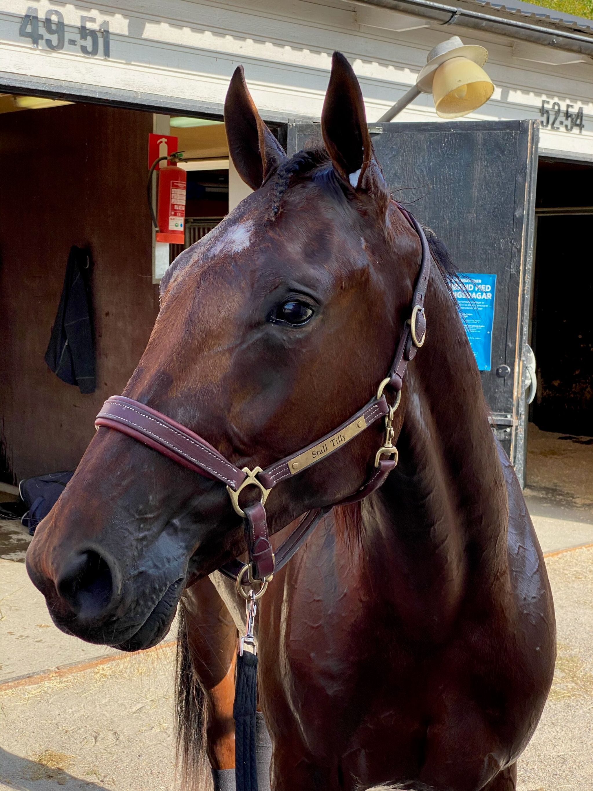 DC7E72D3-9E09-442A-98C9-EB44DC4F2741