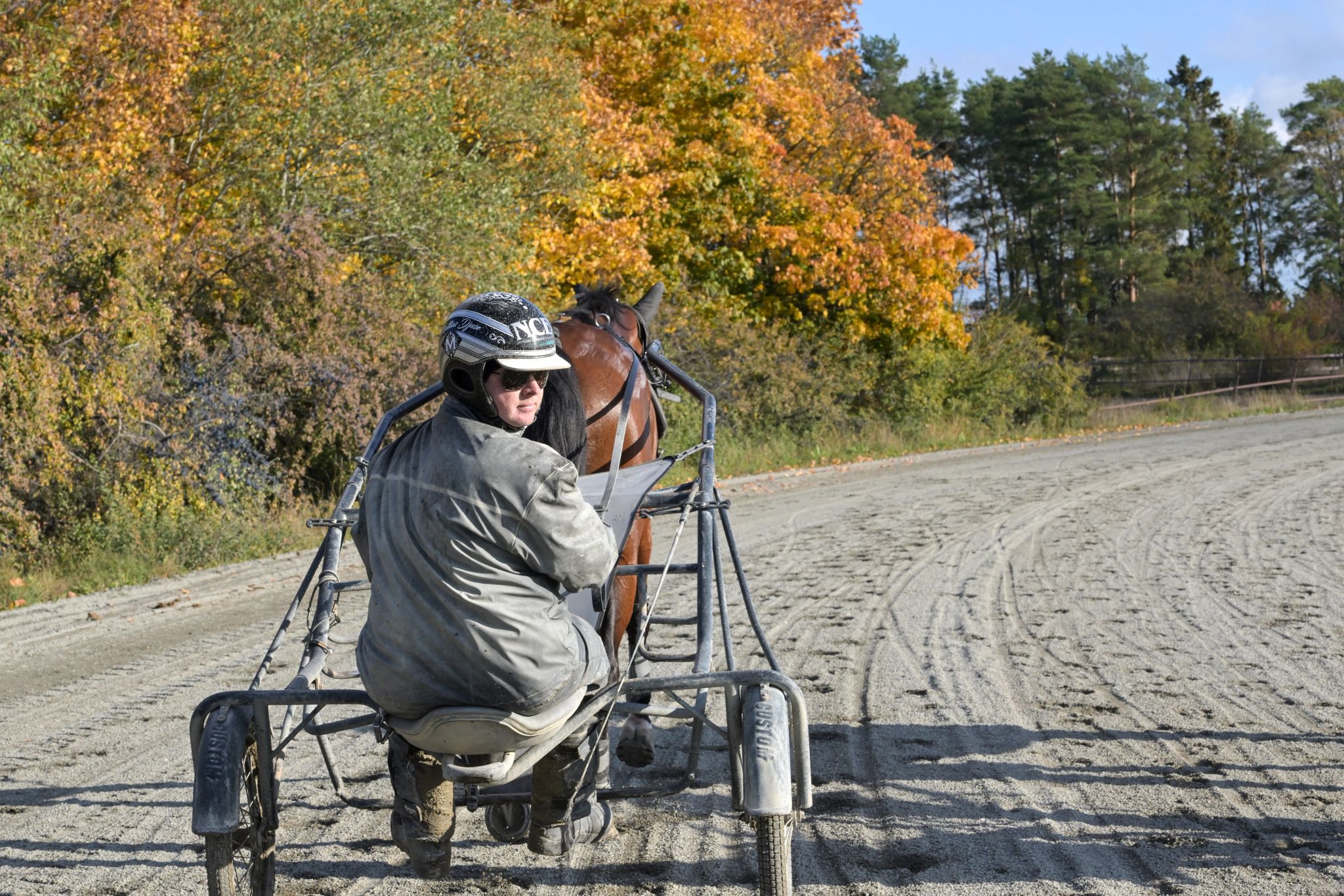 Mattias Djuse bakom häst på Hårby Gård