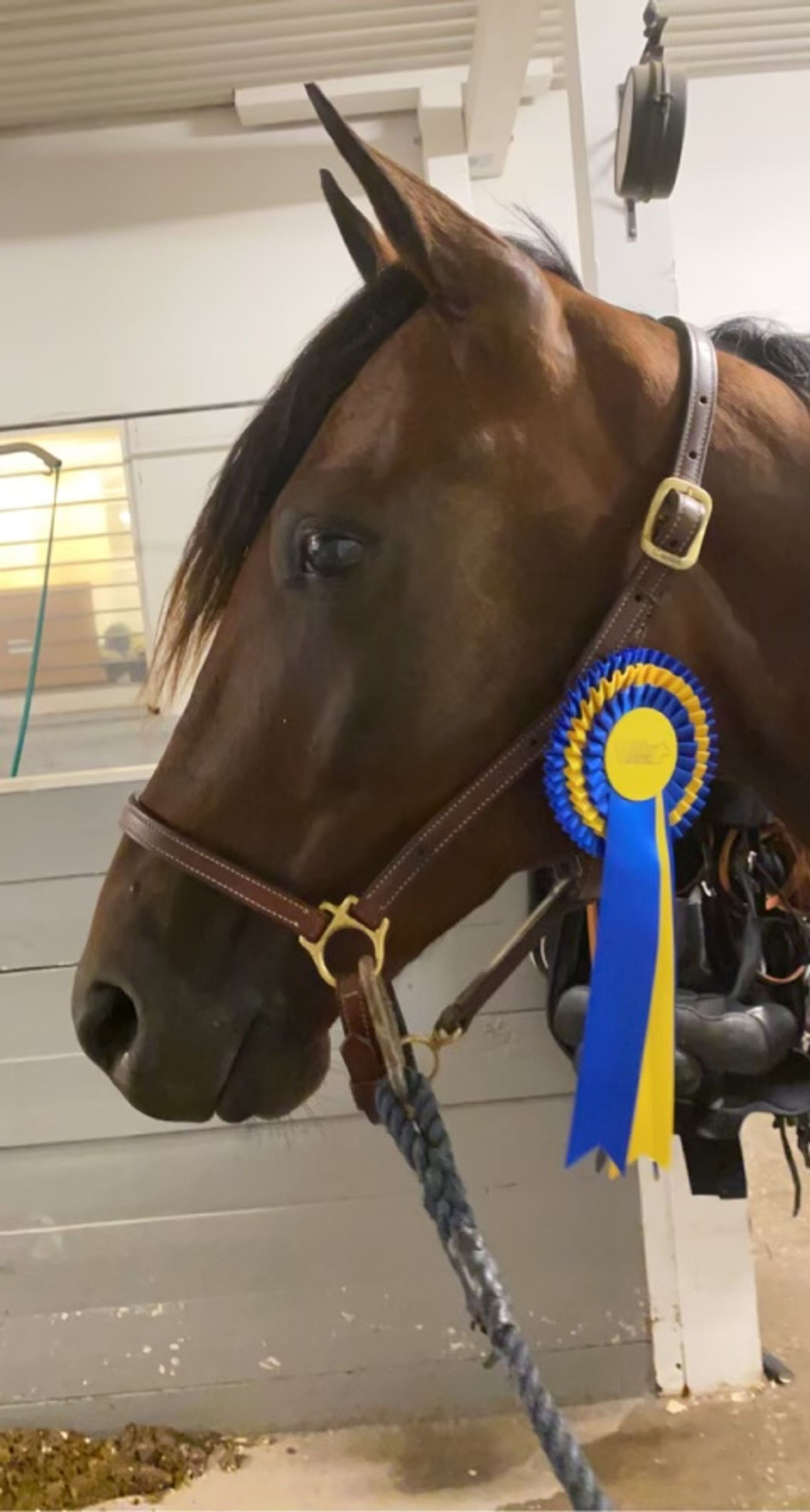 0AD31A82-9C5C-480C-9CAF-9EFC33862153