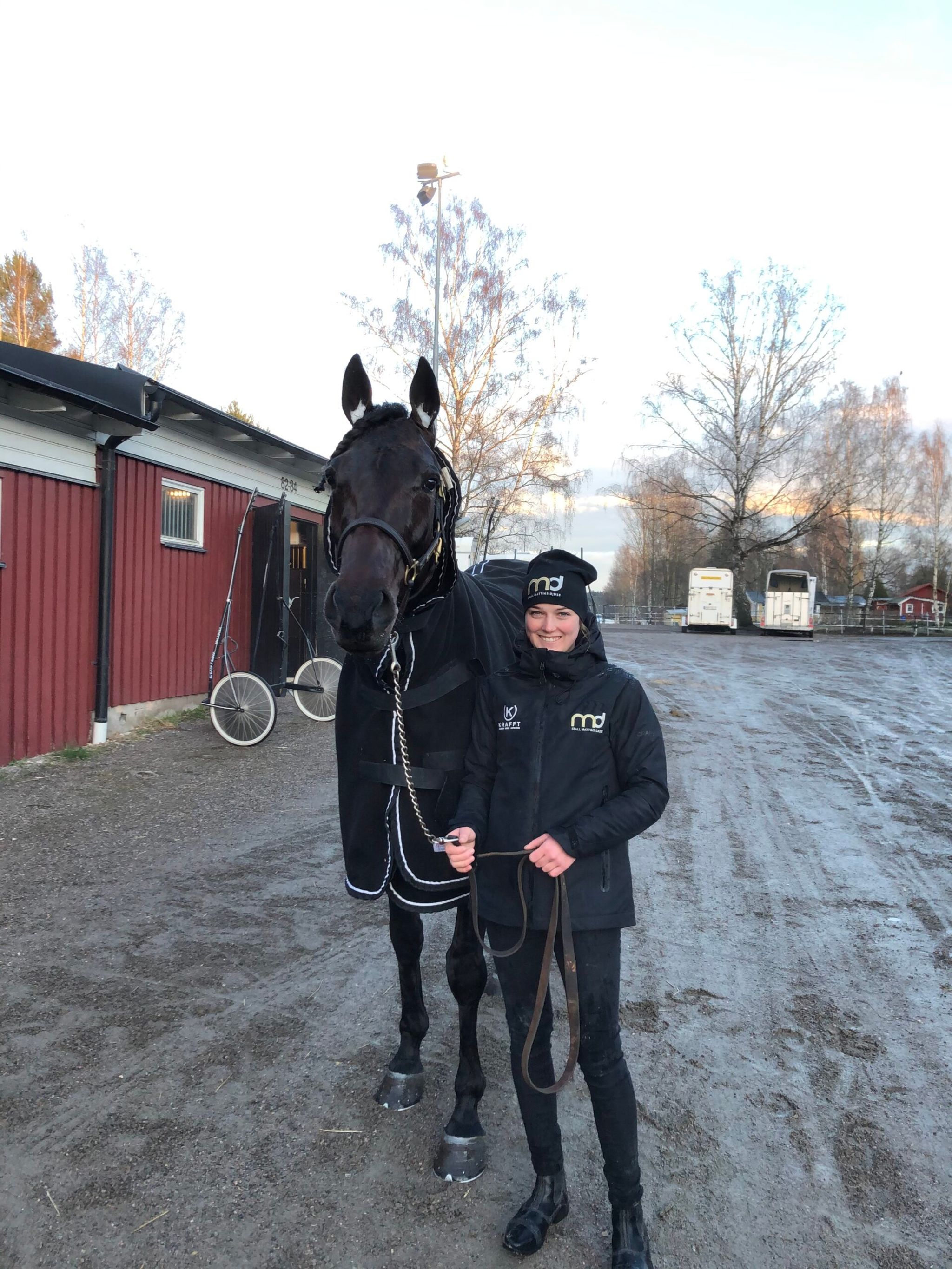 D3DFE53A-C809-4FB4-A126-5A342EDED3AE