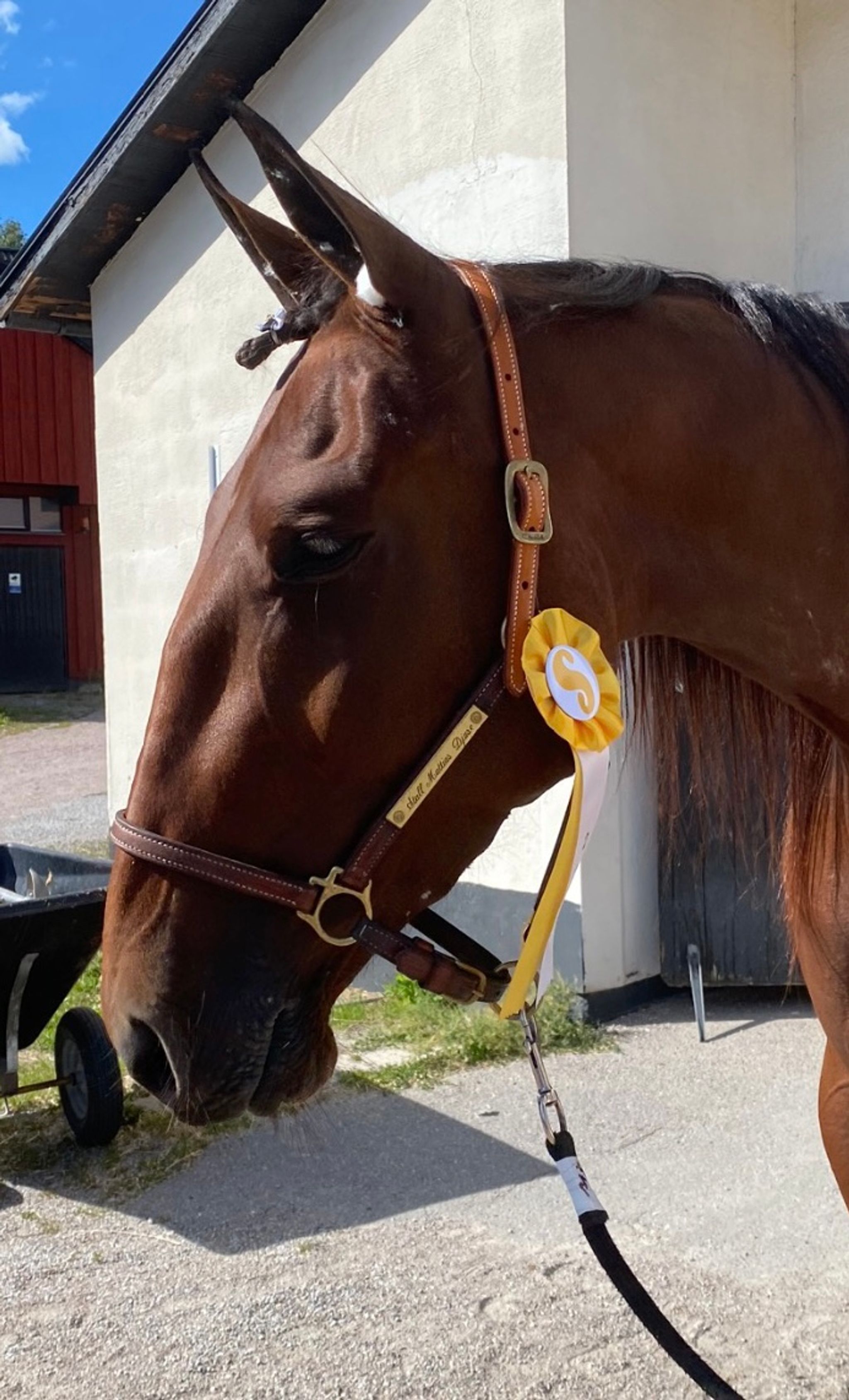 4C34A71F-6559-470F-A663-5E0A315E034C