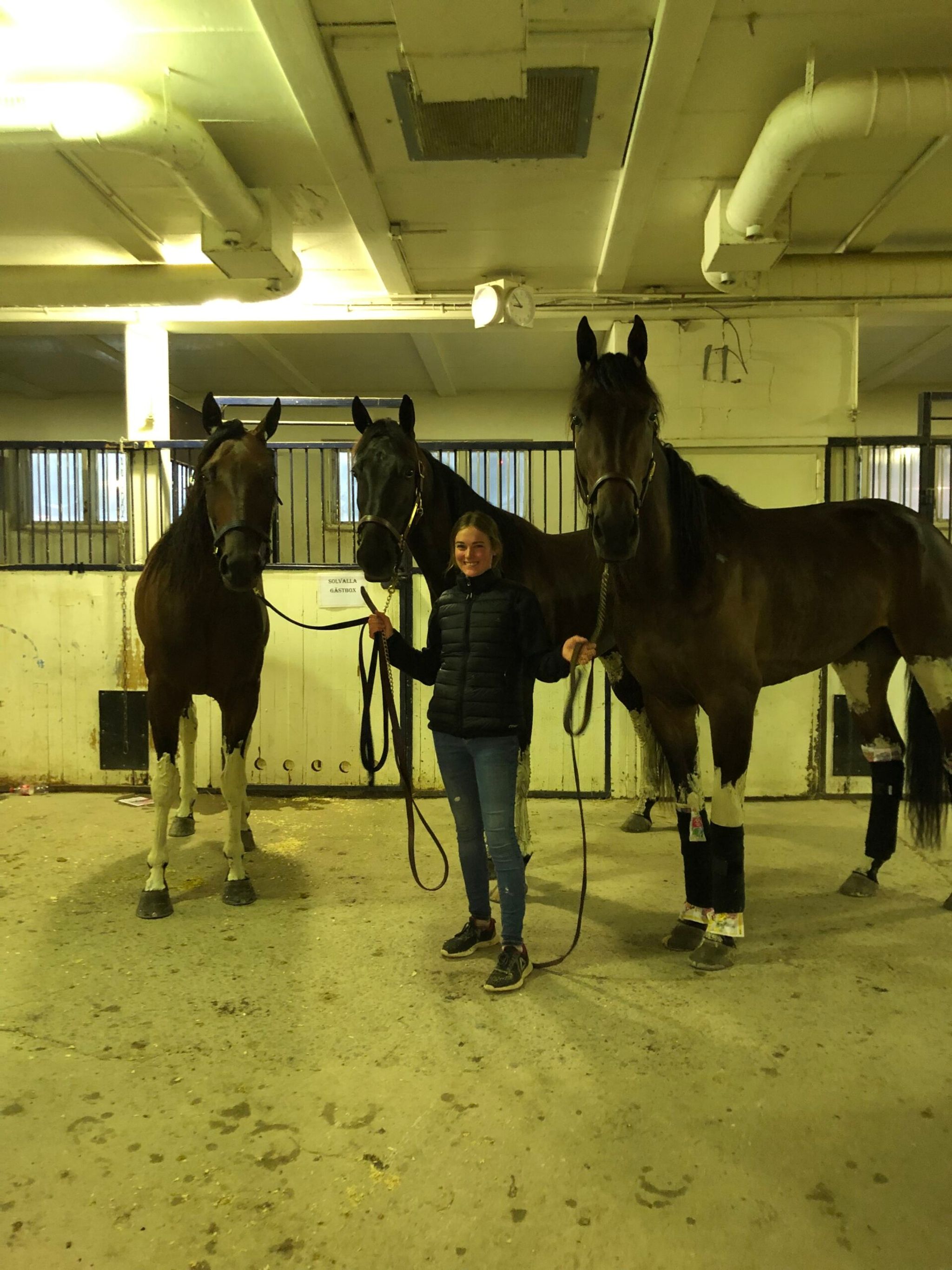 74329398-402E-4490-885A-8B81F0F841E9