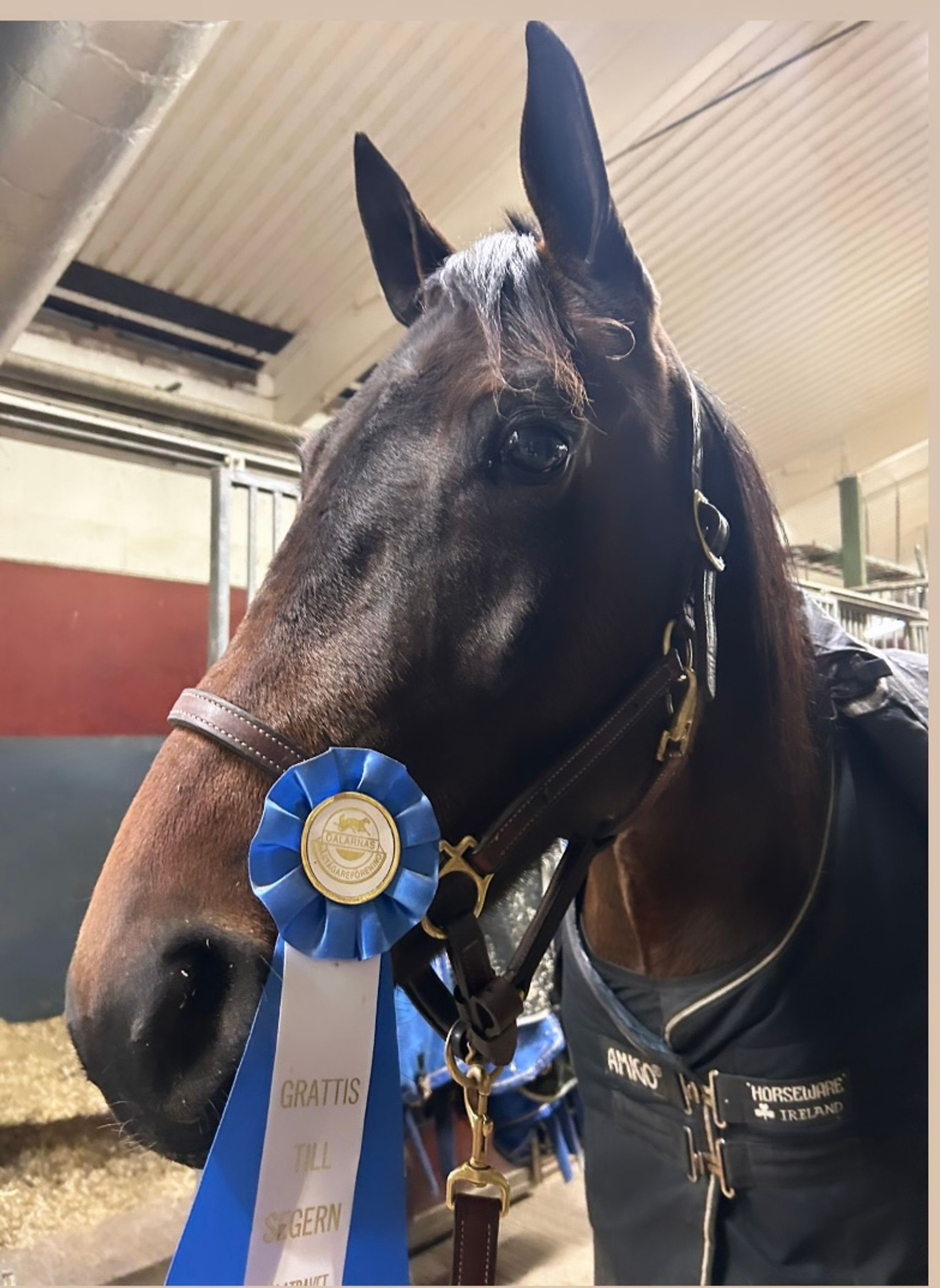 09C3A95B-0F58-4AA5-B8C0-87459B8B69BC