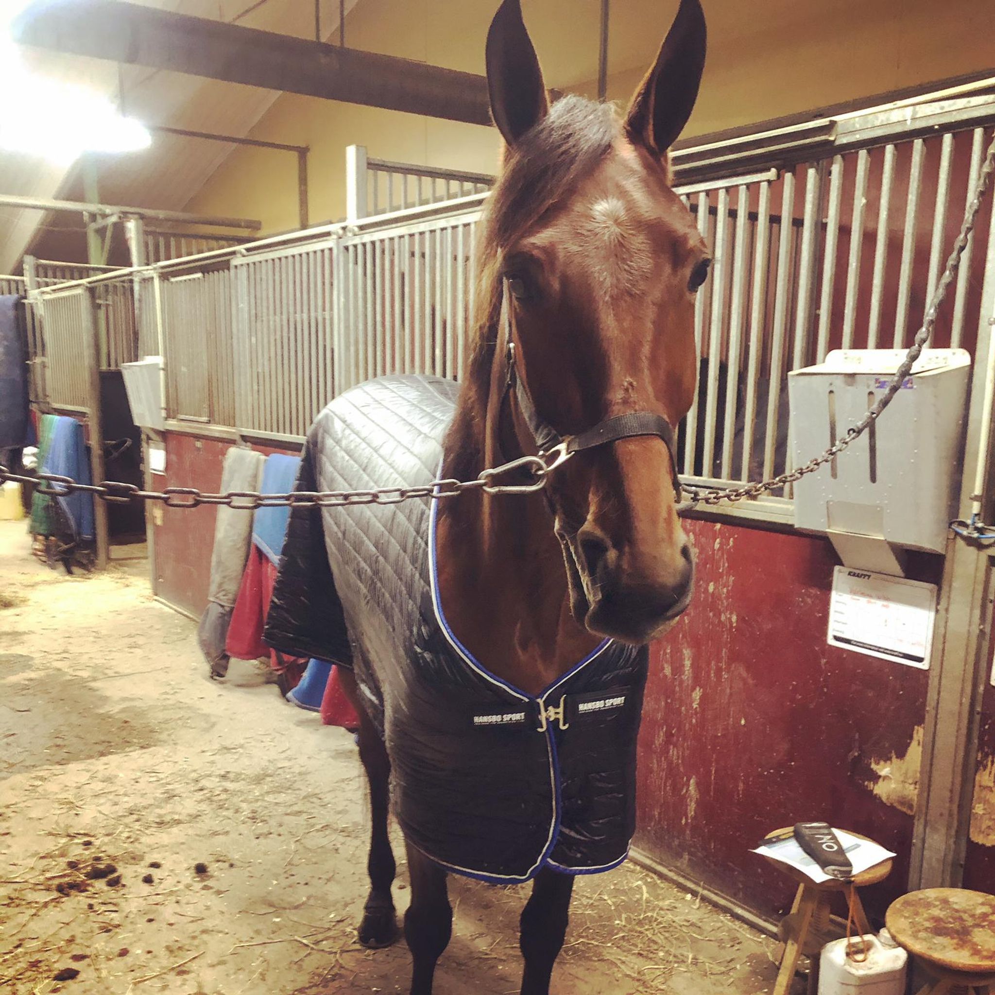 4A999BAA-6E15-4986-8CEE-410F3196CB8E