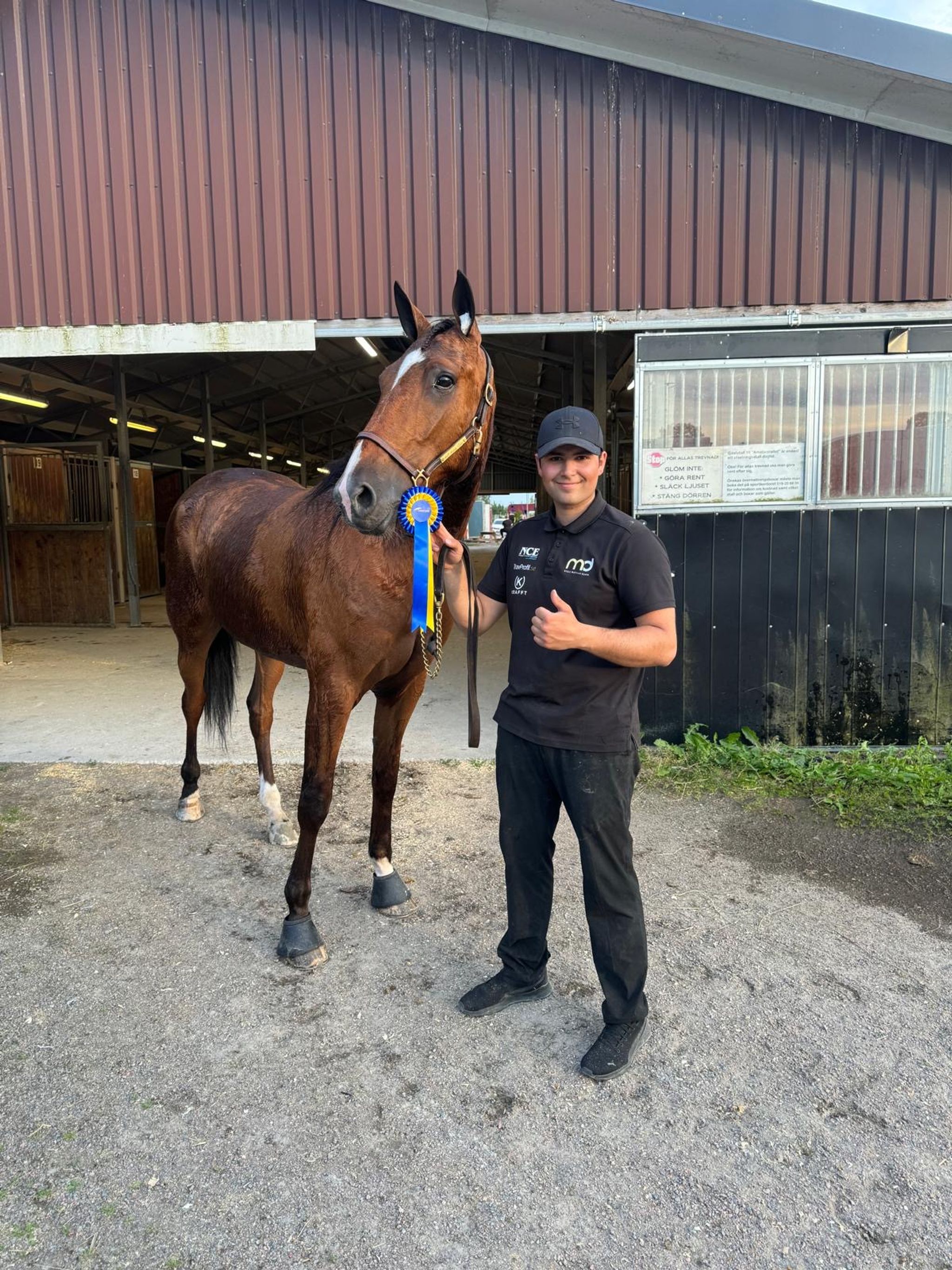 3b0c029b-bd64-4f54-8a0f-90fd224fa4cd