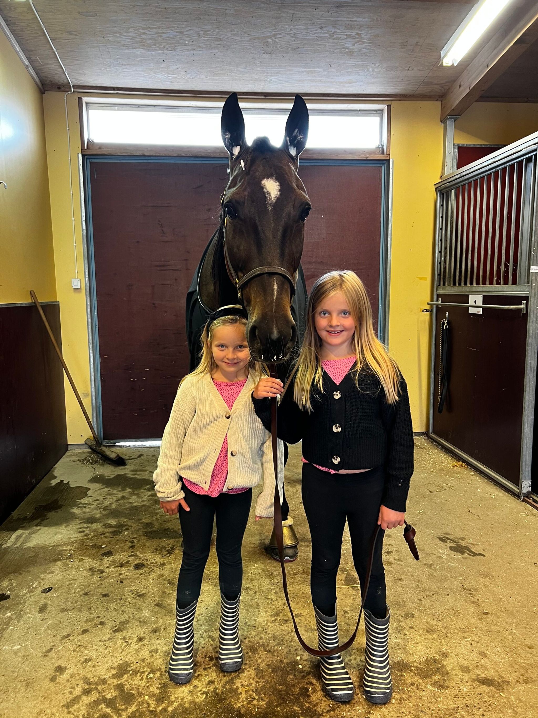 3A6EEA1E-70BC-4180-8000-277F31D8C900