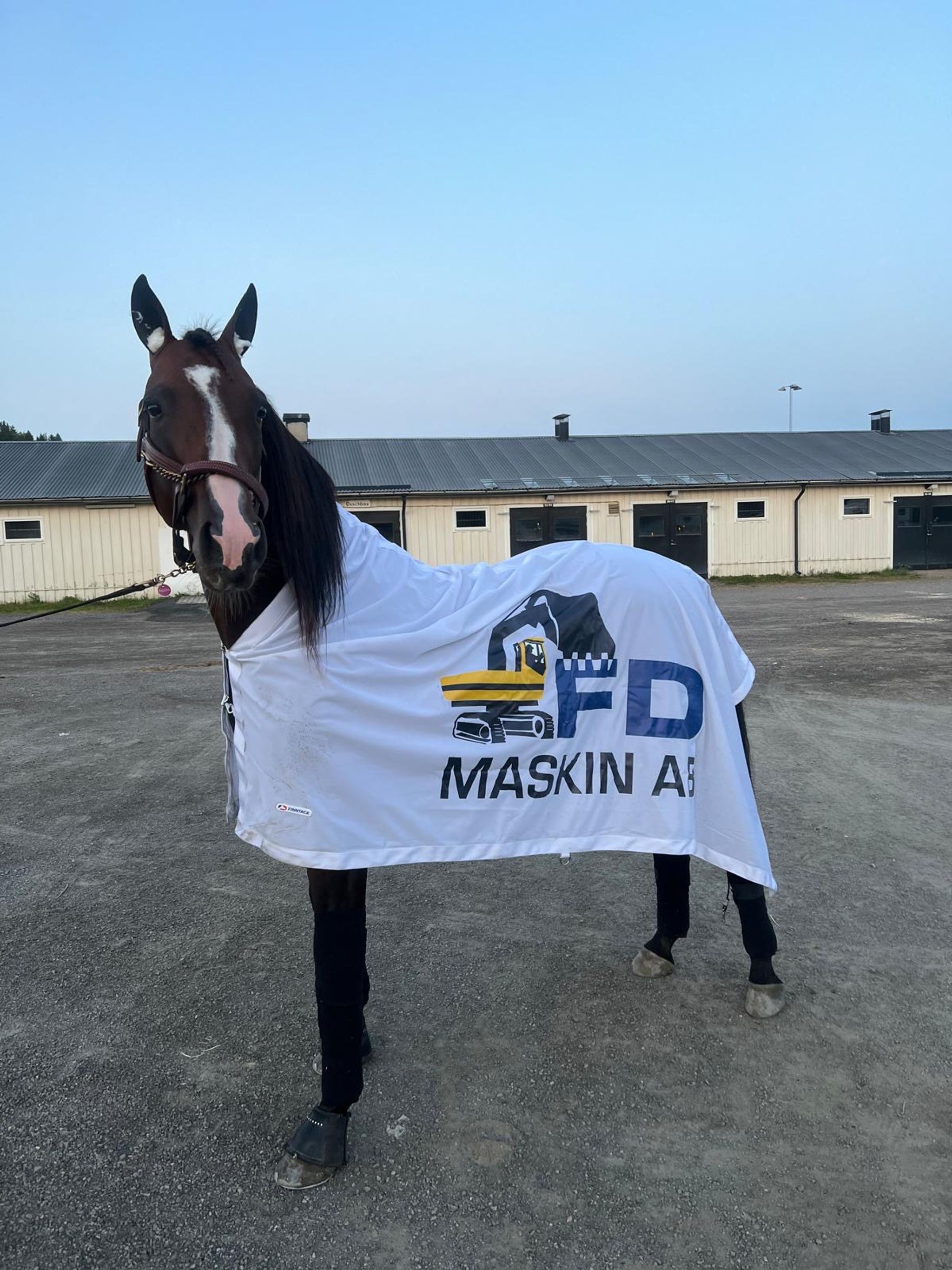 20223331-dcdf-41fa-ad32-ae2dea03b5dc