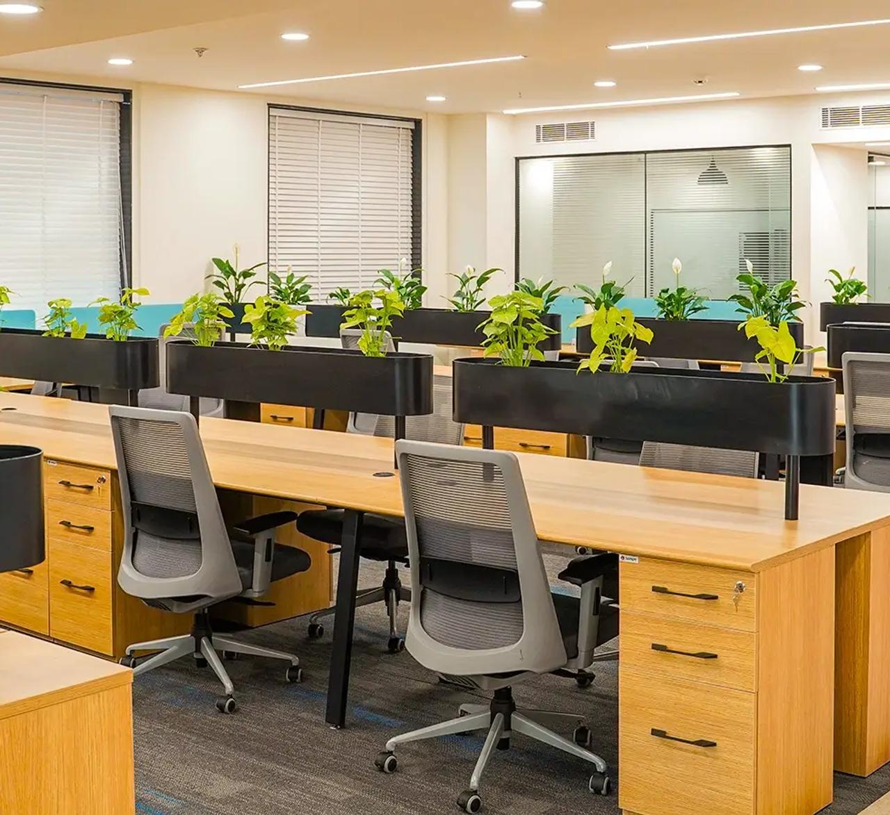 AIHP’s Approach to Sustainable Building Practices: Crafting Eco-Friendly Workspaces for Modern Businesses