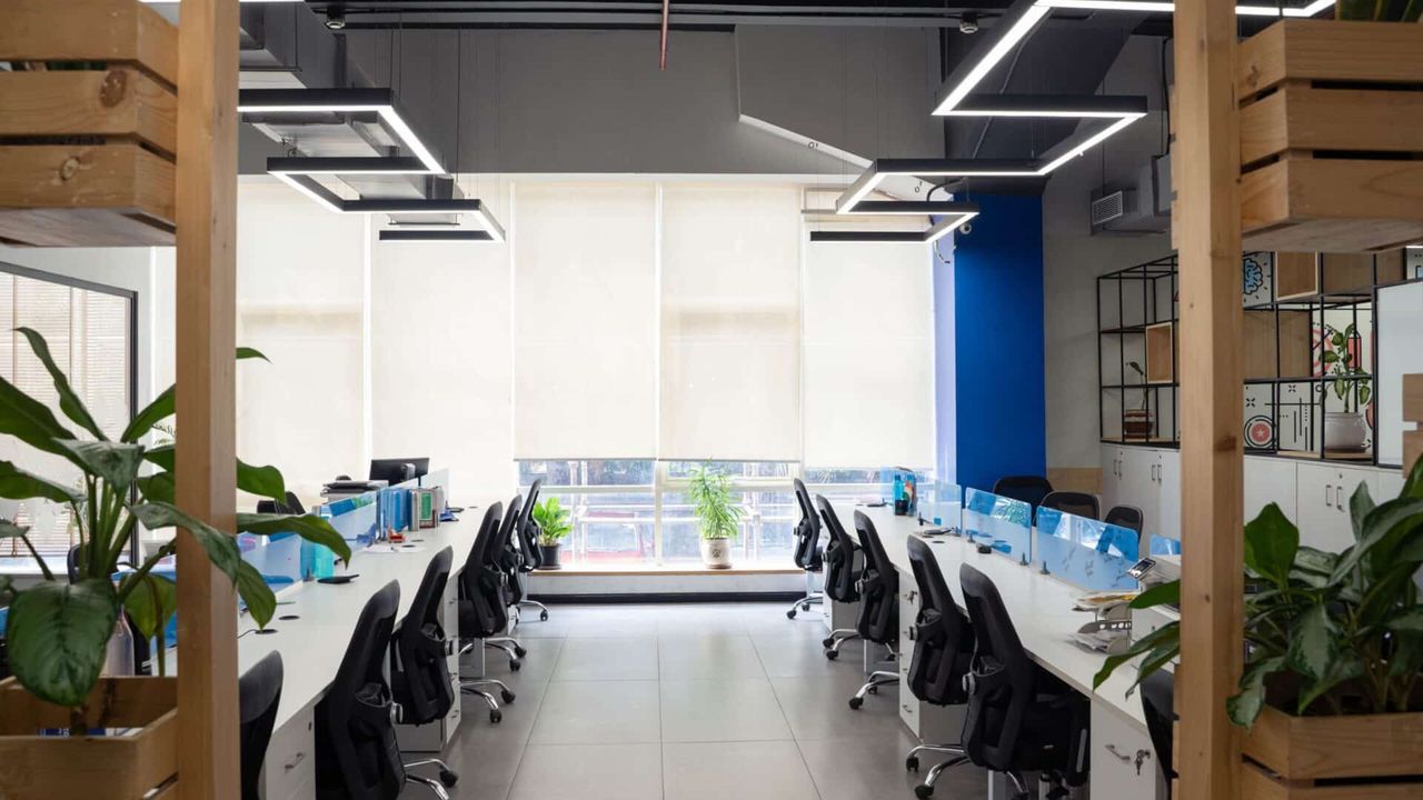 The Role of Natural Light in Employee Productivity