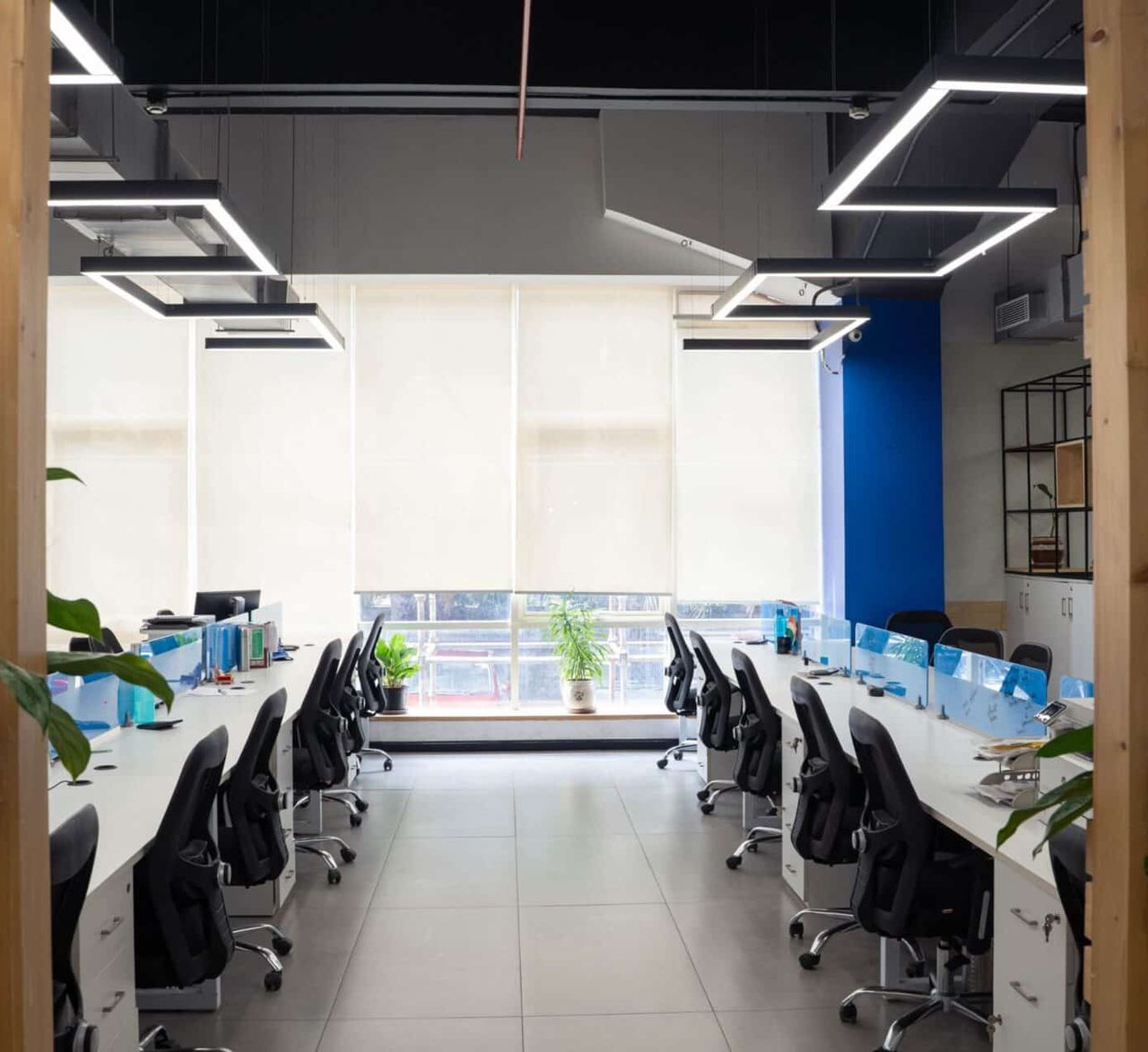 The Role of Natural Light in Employee Productivity