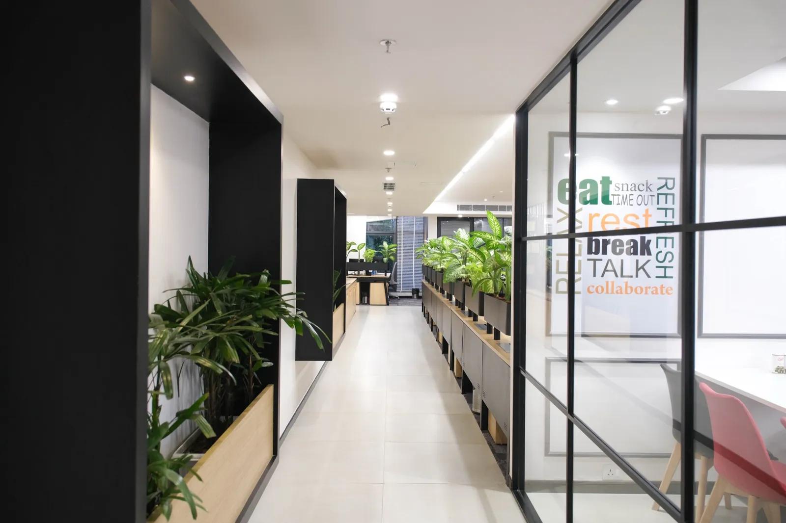 AIHP Milestone collaborative corridor with a breakout glass cabin and planters, Udyog Vihar Gurgaon