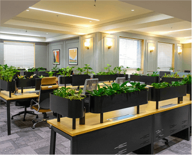 7 Low-Cost Ways to Make Your Office Eco-Friendly