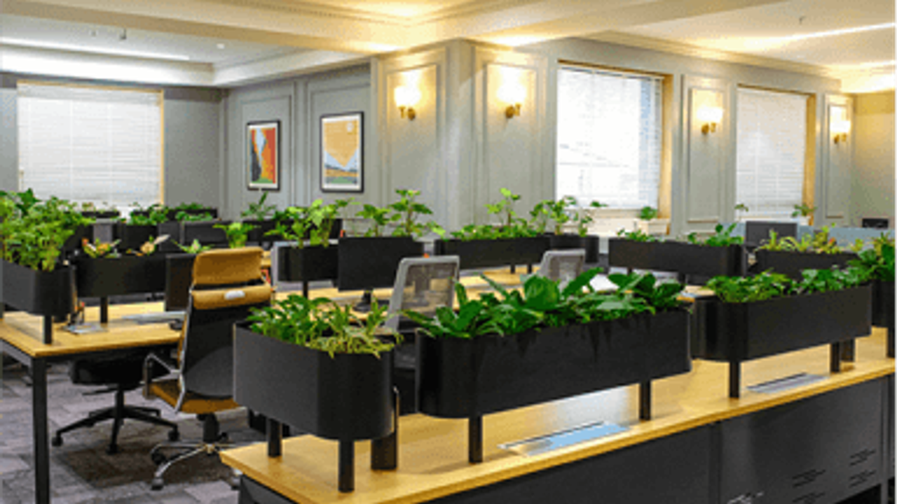 7 Low-Cost Ways to Make Your Office Eco-Friendly