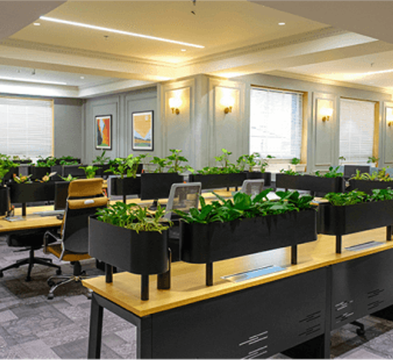7 Low-Cost Ways to Make Your Office Eco-Friendly