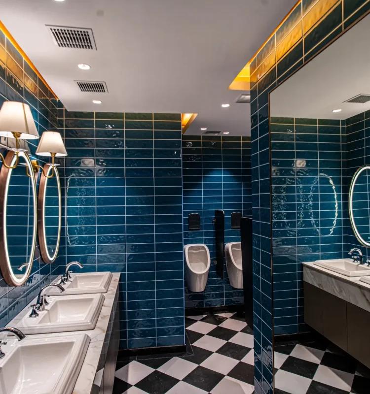 Washroom facilities, AIHP Millennium, Udyog Vihar Gurgaon