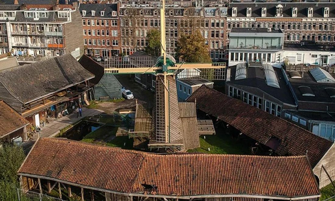 Foto van Molen de Otter, Gillis van Ledenberchstraat 78, 1052 VK Amsterdam, BeterBoompje pick-up; duurzame kerstboom met kluit huren/ophalen, Jordaan-omgeving.