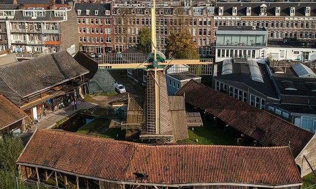 Foto van Molen de Otter, Gillis van Ledenberchstraat 78, 1052 VK Amsterdam, BeterBoompje pick-up; duurzame kerstboom met kluit huren/ophalen, Jordaan-omgeving.