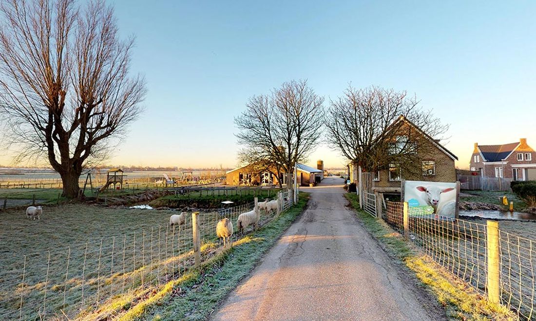 Foto van Belevenisboerderij Schieveen, Oude Bovendijk 220, 3046 NL Rotterdam, BeterBoompje pick-up; duurzame kerstboom met kluit huren/ophalen.