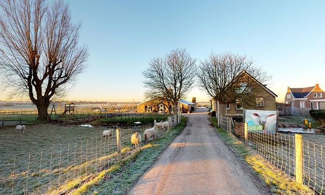 Foto van Belevenisboerderij Schieveen, Oude Bovendijk 220, 3046 NL Rotterdam, BeterBoompje pick-up; duurzame kerstboom met kluit huren/ophalen.