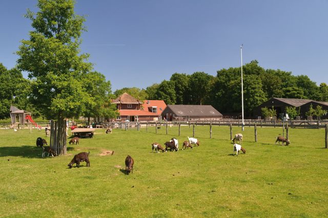 Stadsboerderij Presikhaaf in Arnhem — duurzame kerstboom