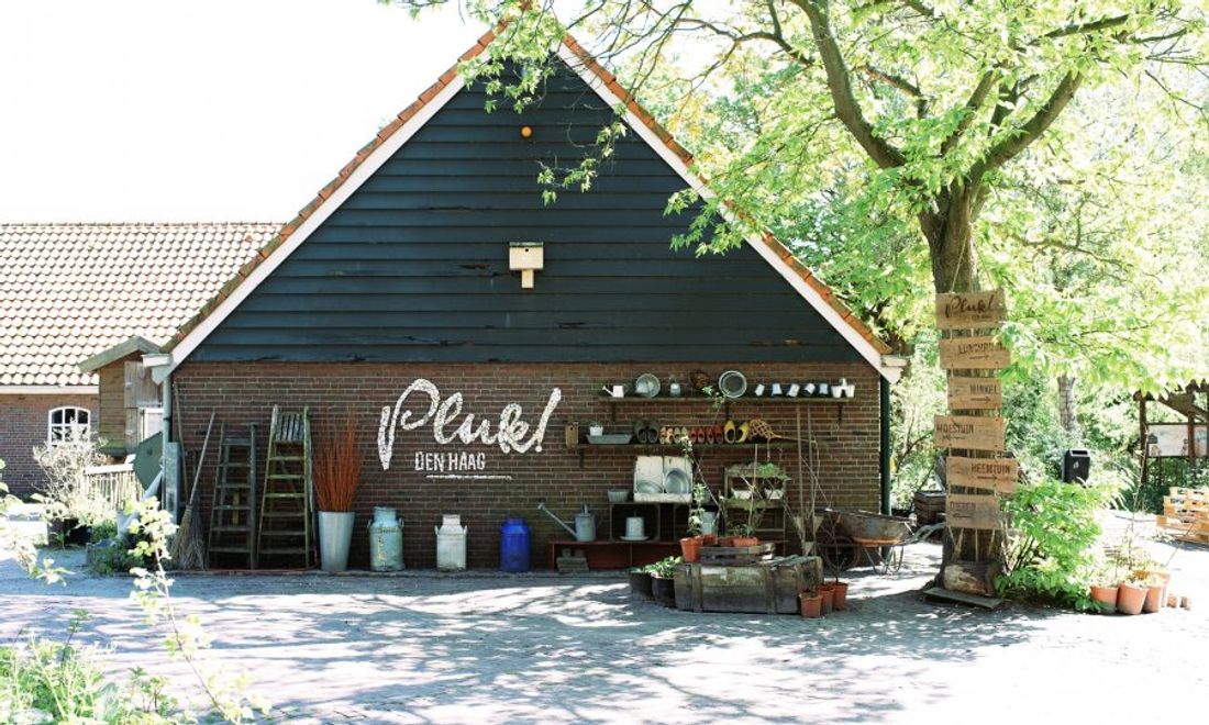 Foto van Het restaurant van Pluk. Loosduinse Hoofdstraat 1184A, 2552 AV Den Haag, BeterBoompje pick-up; duurzame kerstboom met kluit huren/ophalen, Een fijne plek voor een bakkie, taartje of lekkere lunch aan de rand van de stad. Omringd door groen, dieren en veel speelplek voor de kids