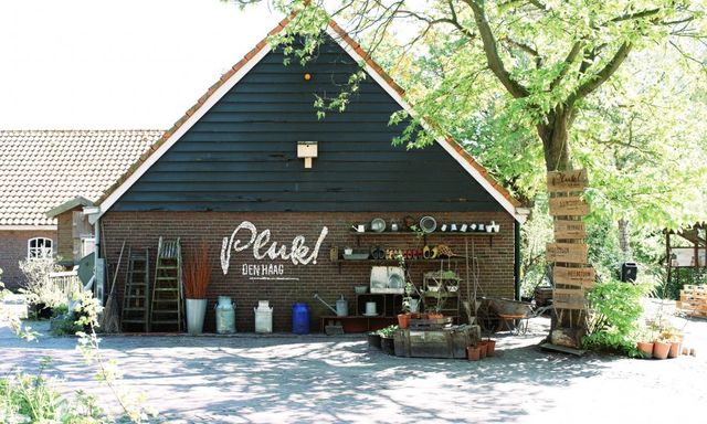 Foto van Het restaurant van Pluk. Loosduinse Hoofdstraat 1184A, 2552 AV Den Haag, BeterBoompje pick-up; duurzame kerstboom met kluit huren/ophalen, Een fijne plek voor een bakkie, taartje of lekkere lunch aan de rand van de stad. Omringd door groen, dieren en veel speelplek voor de kids