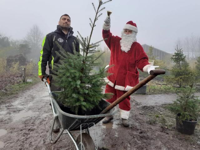 Randijk Bamboe in Leusden — duurzame kerstboom