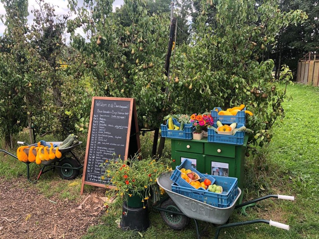 Beemstergaard CSA in Zuidoostbeemster — duurzame kerstboom