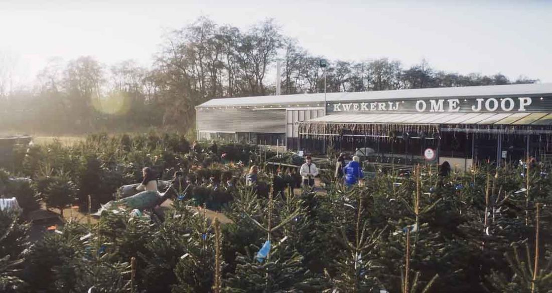 Kwekerij Ome Joop in Hilversum — duurzame kerstboom