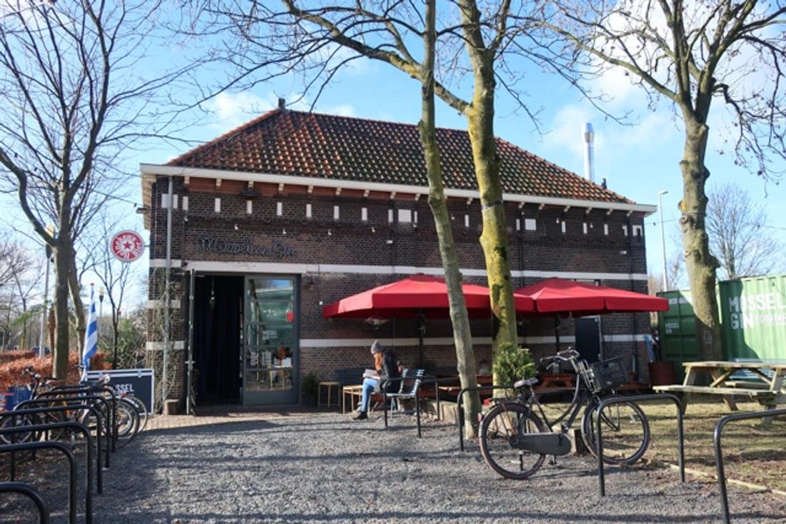Foto van Mossel & Gin, Gosschalklaan 12, 1014 DC Amsterdam, BeterBoompje pick-up Westerpark; duurzame kerstboom met kluit huren/ophalen, lokaal afhaalpunt.