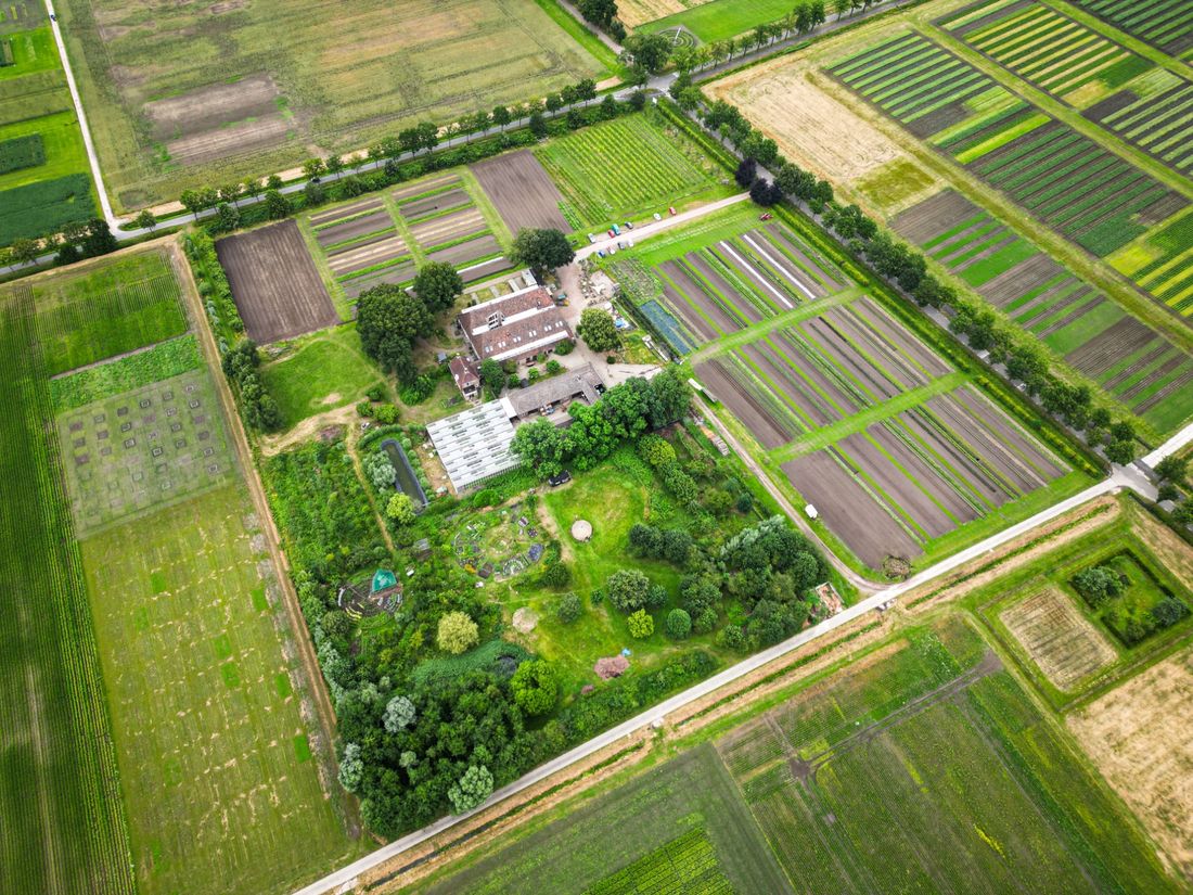 De Hoge Born in Wageningen — duurzame kerstboom