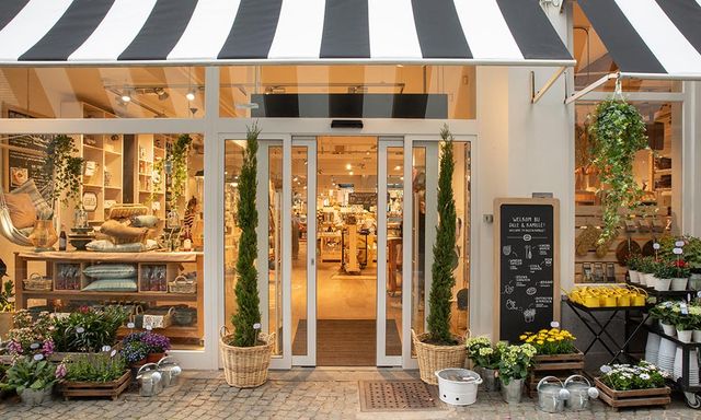 Foto van Dille & Kamille Antwerpen, Vleminckstraat 9, 2000 Antwerpen, BeterBoompje pick-up; duurzame kerstboom met kluit huren/ophalen, centrum Antwerpen.