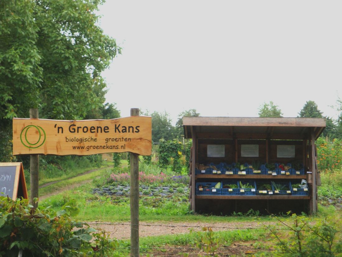 n Groene Kans in Groenekan — duurzame kerstboom
