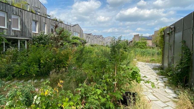 images	BWWB ecowijk Boschveld, Den Bosch – duurzame woningen en gemeenschappelijke kas projecten