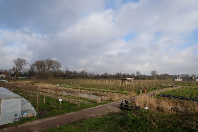 De Fruittuin van West in Amsterdam — duurzame kerstboom