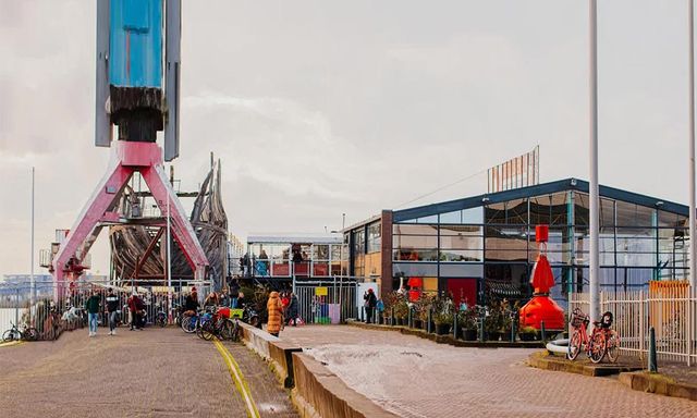 Foto van OASE Rotterdam, Schiehaven 15, 3024 EC Rotterdam, BeterBoompje pick-up; duurzame kerstboom met kluit huren/ophalen, waterfront.
