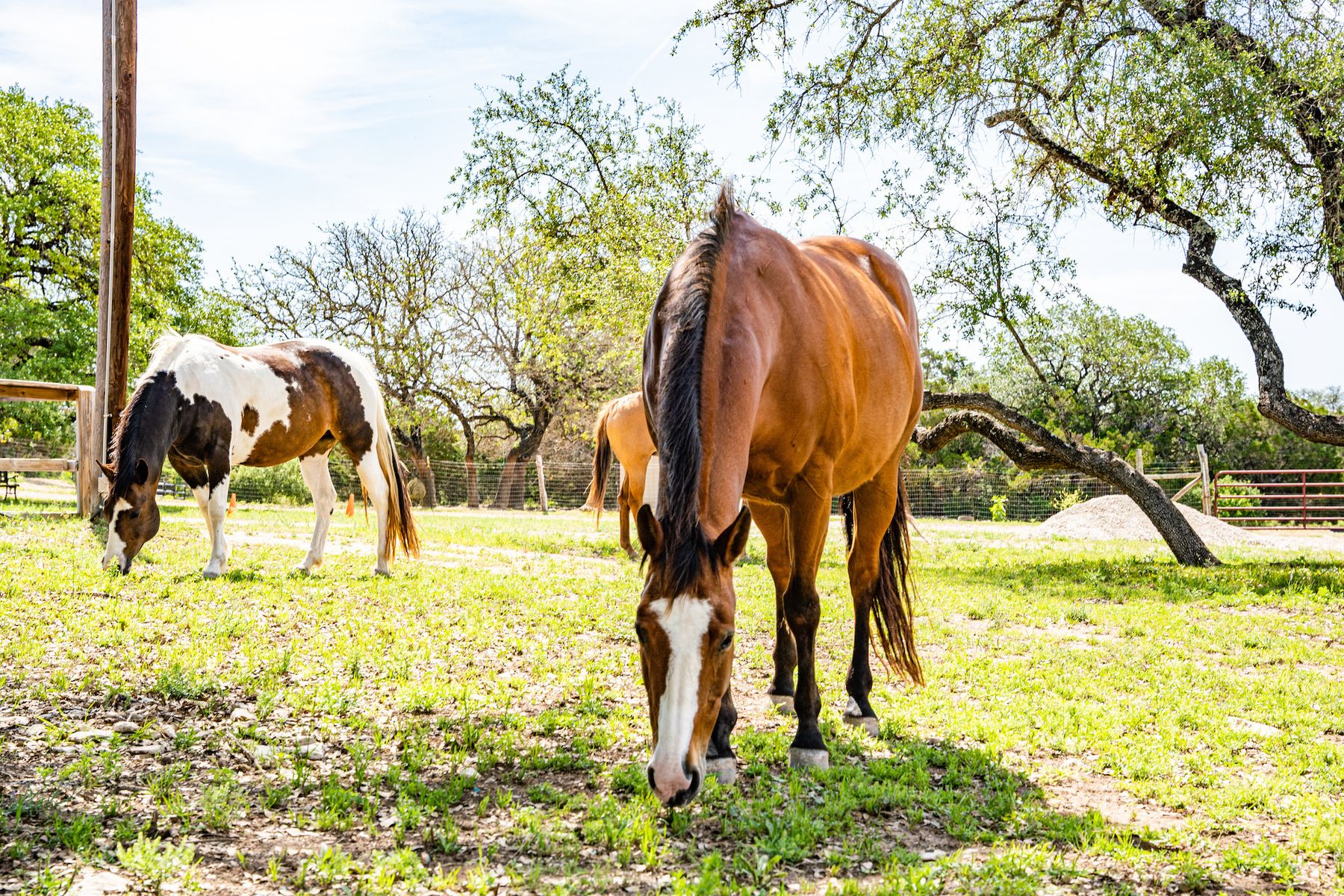Ponderosita Ranch | West Pole Land & Ranch